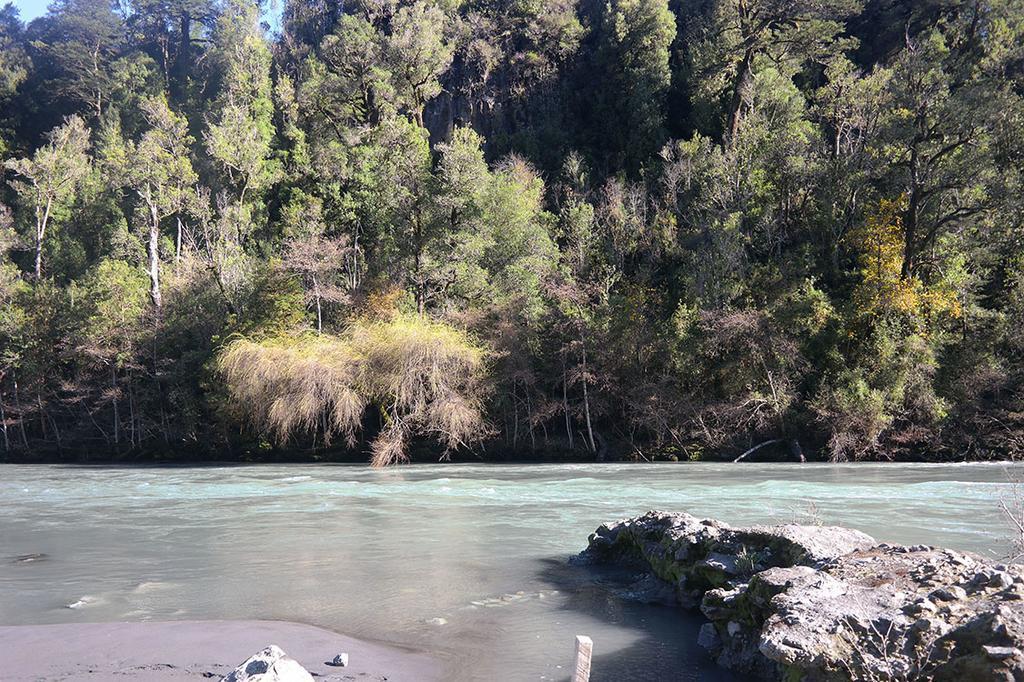 Ralun Patagonia旅馆 外观 照片